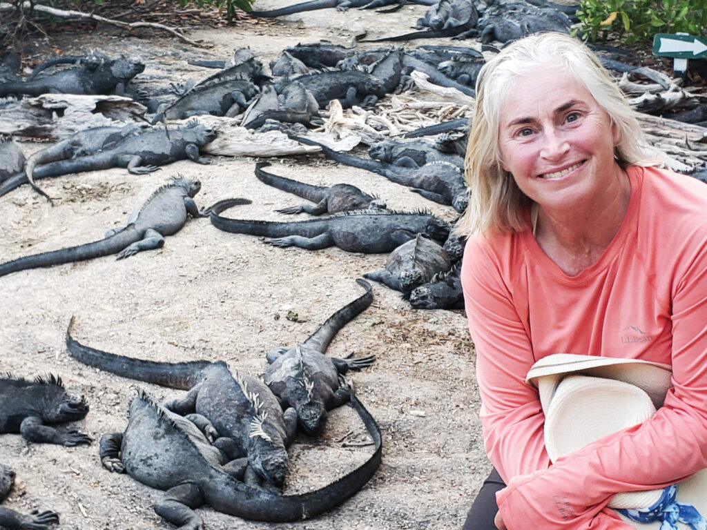 iguanas of Isla Isabela