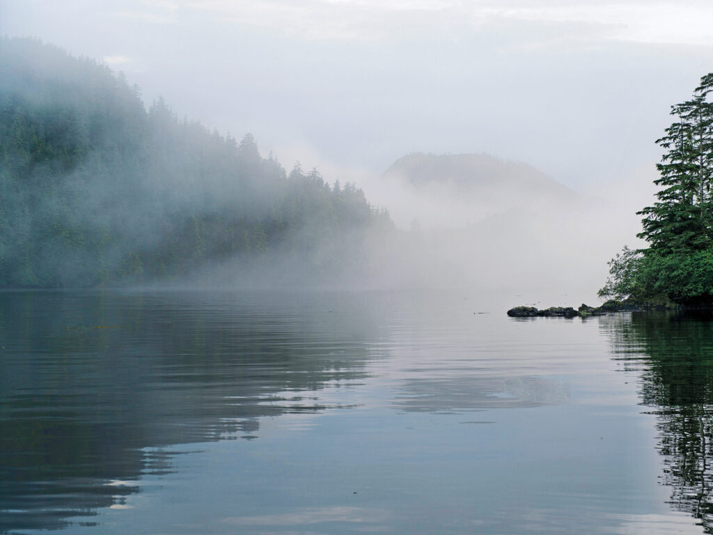 Reflection of trees on water, Skeena-Queen Charlotte Regional District, Haida Gwaii, Graham Island, British Columbia, Canada