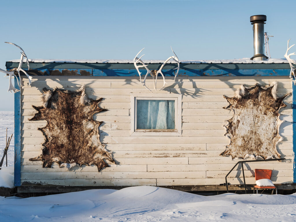 Deer skull and antlers on building in Tuktoyaktuk, Canada.