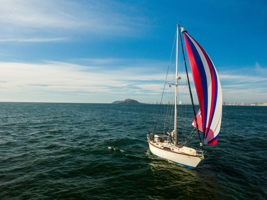 Avocet sailing