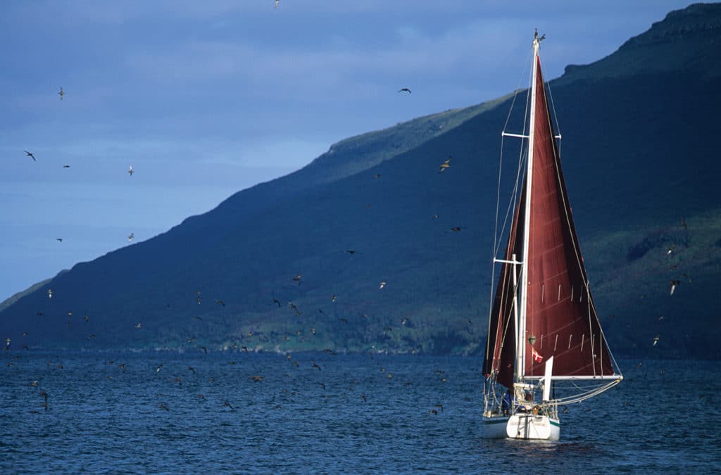 Auckland Islands