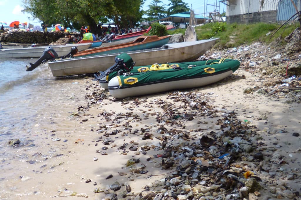 beach cleanup