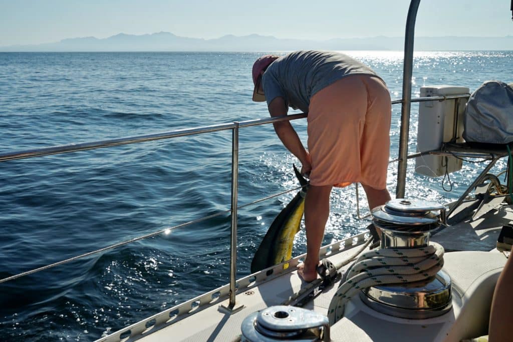 Jamie grabbing a dorado