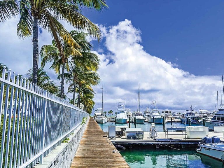 A marina at Florida Yachts Charters