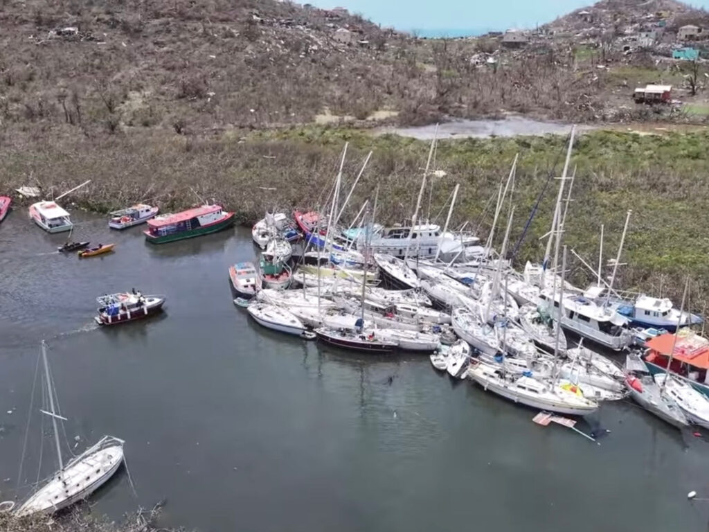 Boats within the mangroves